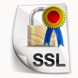 ssl certificate icon