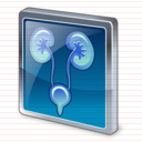 urology icon