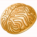 internal memory icon