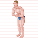 body building icon