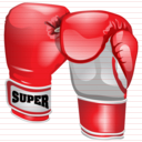 boxing gloves icon
