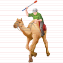 camel racing icon