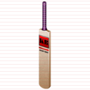 cricket bat icon