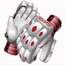 cricket gloves icon
