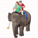 elephant polo icon