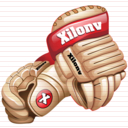 ice hockey gloves icon