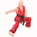 shaolin kung fu icon