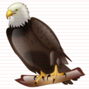 Eagle Icon