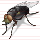 fly_icon.jpg