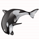 whale_icon.jpg