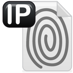 ip icon