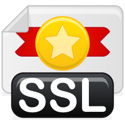 ssl_certificate icon