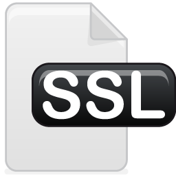 ssl icon