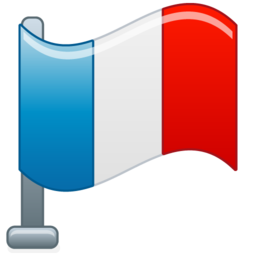 flag_france icon