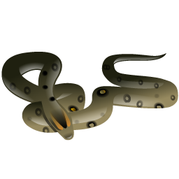 anaconda icon