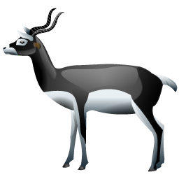 antelopes icon