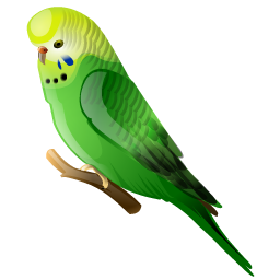 australian_parakeet icon