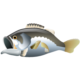 bass_fish icon