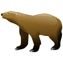 bear icon