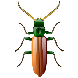 beetle icon