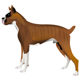 boxer_dog icon