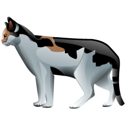 cat icon