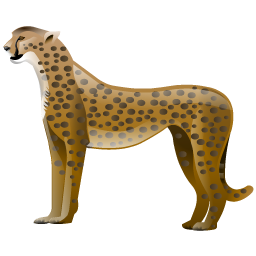 cheetah icon
