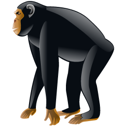 chimpanzee icon