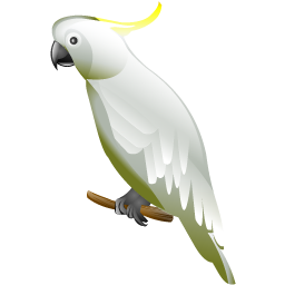 cockatoo icon