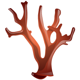 coral icon