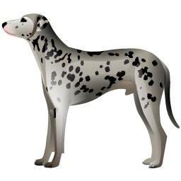 dalmatian_dog icon