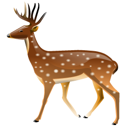 deer icon