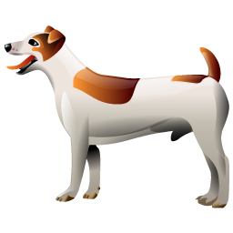 dog icon