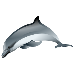 dolphin icon