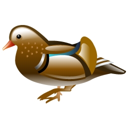 duck icon