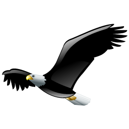 eagle icon