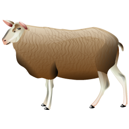 ewe icon