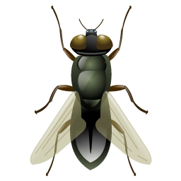 fly icon