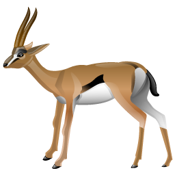 gazelle icon
