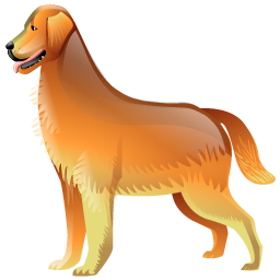 golden_retriever icon