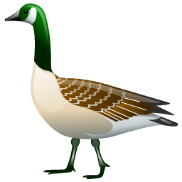 goose icon