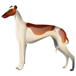 greyhound icon