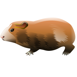 guinea_pig icon