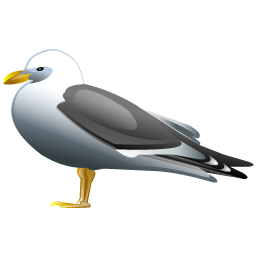 gull icon