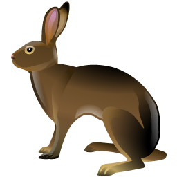 hare icon