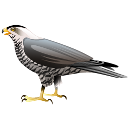 hawk icon
