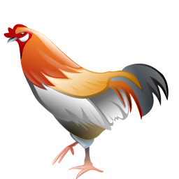 hen icon