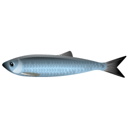 herring_fish icon