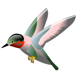 hummingbird icon