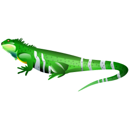 iguana icon